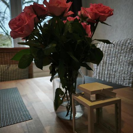 Hehlentor-City Gaeste Wohnung Celle Eksteriør billede